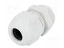 FIBOX Sello aislante PG11 IP68