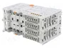 WAGO 750-606 Alimentación de potencial 24VDC 1A Ex i Gris claro