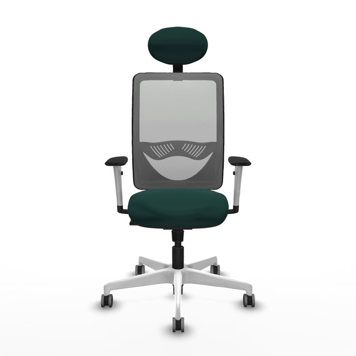 PIQUERAS Y CRESPO Silla de oficina Zulema con mecanismo Sincro Verde botella y Gris PIQUERAS Y CRESPO Silla de oficina Zulema con mecanismo Sincro Verde botella y Gris
