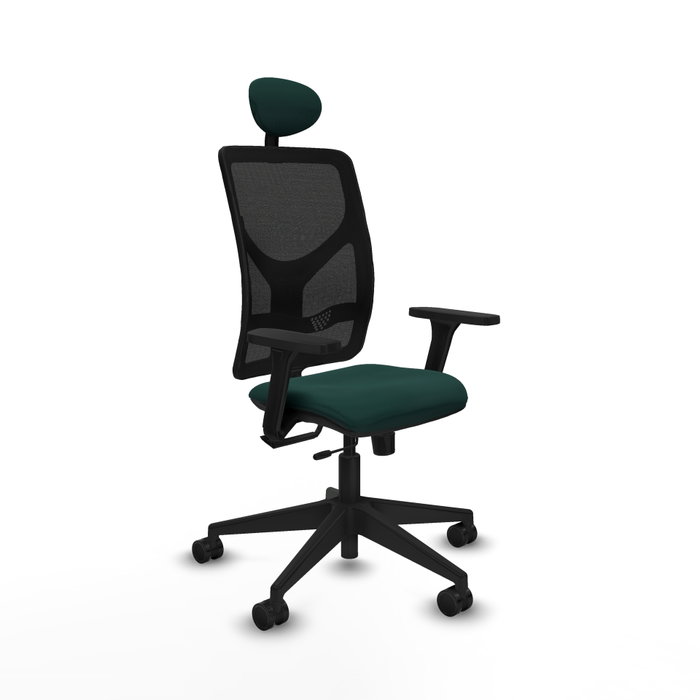 PIQUERAS Y CRESPO Silla de oficina Motilla con mecanismo Sincro/Traslack, Verde botella y Negro PIQUERAS Y CRESPO Silla de oficina Motilla con mecanismo Sincro/Traslack, Verde botella y Negro