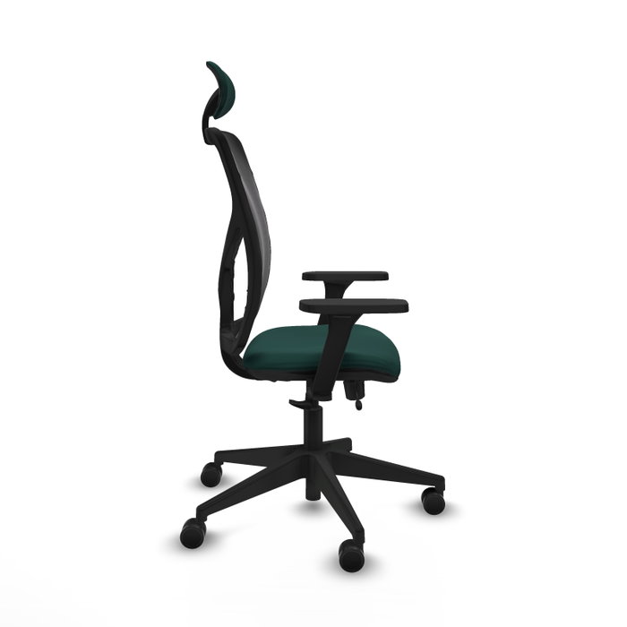 PIQUERAS Y CRESPO Silla de oficina Motilla con mecanismo Sincro/Traslack, Verde botella y Negro PIQUERAS Y CRESPO Silla de oficina Motilla con mecanismo Sincro/Traslack, Verde botella y Negro