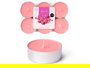 Acorde Set 6 Velas Tea Light Maxi 9 H Orquidea 17.5x2.2x11.8 cm Cera Rosa (Set de 24)