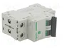 SCHNEIDER ELECTRIC Easy9 Pro EZ9F57204 Interruptor magnetotérmico 2 polos 4A 6kA