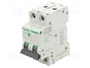 SCHNEIDER ELECTRIC Easy9 Pro EZ9F57204 Interruptor magnetotérmico 2 polos 4A 6kA