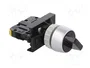 SPAMEL Interruptor rotativo ST22 de 2 posiciones, 22mm, NA, negro