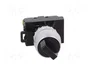 SPAMEL Interruptor rotativo ST22 de 2 posiciones, 22mm, NA, negro