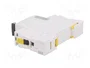 Schneider Automat B 25A 1-polig A9F03125 IC60N