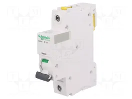 Schneider Automat B 25A 1-polig A9F03125 IC60N