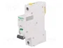 Schneider Automat B 25A 1-polig A9F03125 IC60N