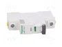 Schneider Automat B 25A 1-polig A9F03125 IC60N