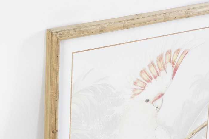 DKD Home Decor Cuadro Cristal MDF Cacatua Surtido de 2 Unidades 50x3x70 DKD Home Decor Cuadro Cristal MDF Cacatua Surtido de 2 Unidades 50x3x70