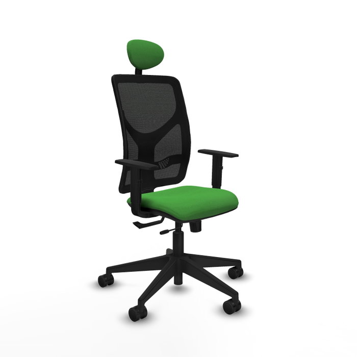 PIQUERAS Y CRESPO Silla de oficina Motilla con mecanismo Sincro/Traslack, Tela Verde y Malla Negra PIQUERAS Y CRESPO Silla de oficina Motilla con mecanismo Sincro/Traslack, Tela Verde y Malla Negra