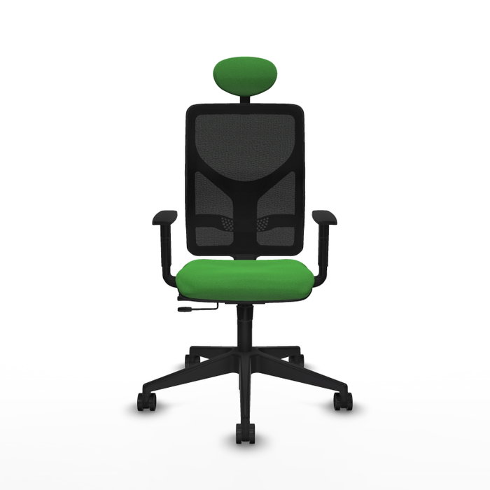 PIQUERAS Y CRESPO Silla de oficina Motilla con mecanismo Sincro/Traslack, Tela Verde y Malla Negra PIQUERAS Y CRESPO Silla de oficina Motilla con mecanismo Sincro/Traslack, Tela Verde y Malla Negra