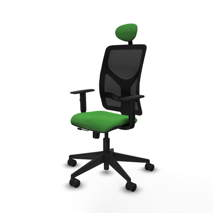 PIQUERAS Y CRESPO Silla de oficina Motilla con mecanismo Sincro/Traslack, Tela Verde y Malla Negra PIQUERAS Y CRESPO Silla de oficina Motilla con mecanismo Sincro/Traslack, Tela Verde y Malla Negra