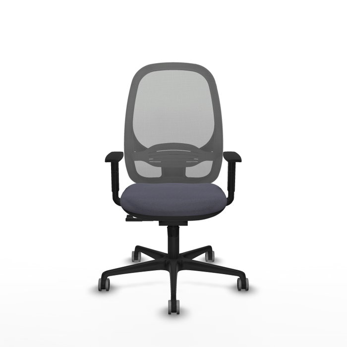 PIQUERAS Y CRESPO Silla de oficina Cilanco con mecanismo Sincro, Gris PIQUERAS Y CRESPO Silla de oficina Cilanco con mecanismo Sincro, Gris