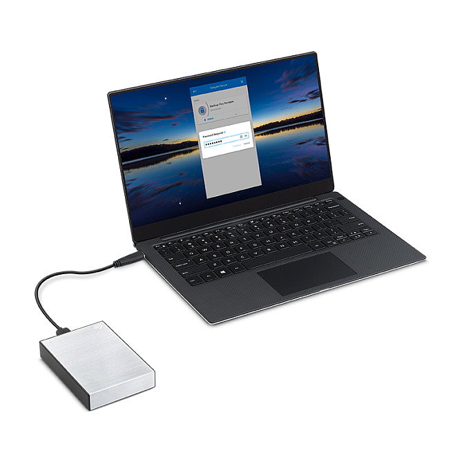 Seagate One Touch Disco Duro Externo 4 TB USB 3.2 Gen 1 Negro y Plata con Protección por Contraseña