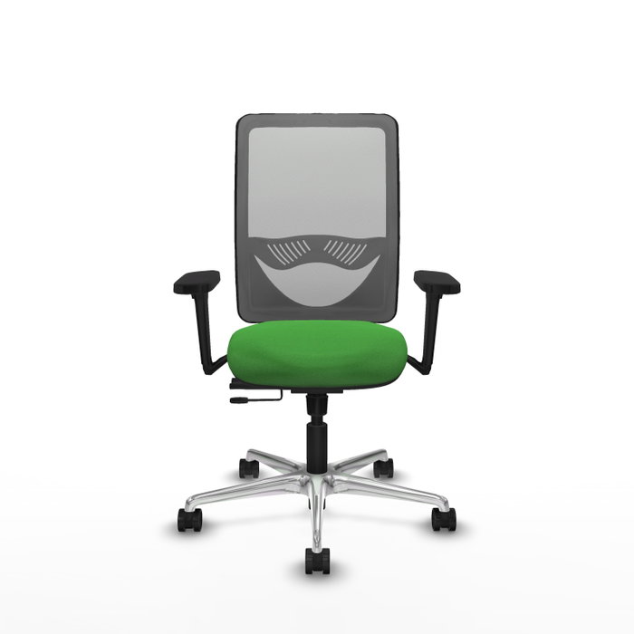 PIQUERAS Y CRESPO Silla de oficina Zulema con mecanismo Sincro/Traslack, Tela Verde y Malla Gris PIQUERAS Y CRESPO Silla de oficina Zulema con mecanismo Sincro/Traslack, Tela Verde y Malla Gris