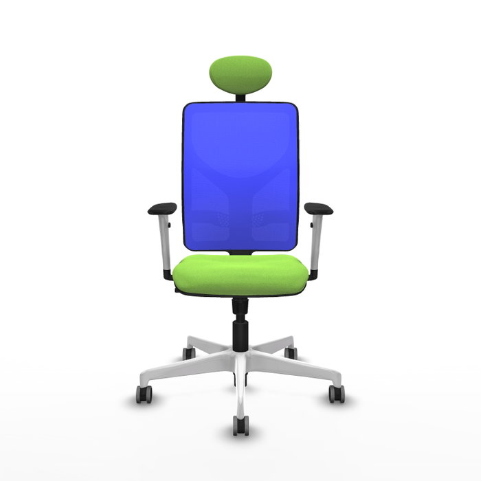 PIQUERAS Y CRESPO Silla de oficina Motilla con mecanismo Sincro, color Pistacho y Azul PIQUERAS Y CRESPO Silla de oficina Motilla con mecanismo Sincro, color Pistacho y Azul