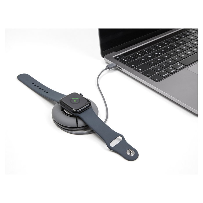 DeLOCK 83019 Cable de Carga Enrollable USB Type-C para Apple Watch, 1 m, Magnético, Gris, Compatible con Series 9/Ultra 2/8/SE y más