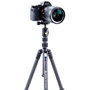 Vanguard VESTA TB 204CB Trípode de Viaje en Fibra de Carbono con Cabezal T-46