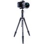 Vanguard VESTA TB 204CB Trípode de Viaje en Fibra de Carbono con Cabezal T-46