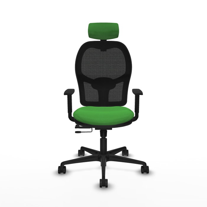 PIQUERAS Y CRESPO Silla de oficina Jorquera Verde con mecanismo Sincro/Traslack PIQUERAS Y CRESPO Silla de oficina Jorquera Verde con mecanismo Sincro/Traslack
