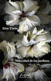 Velocidad de los jardines, Eloy Tizón - PAGINAS DE ESPUMA EDITORIAL
