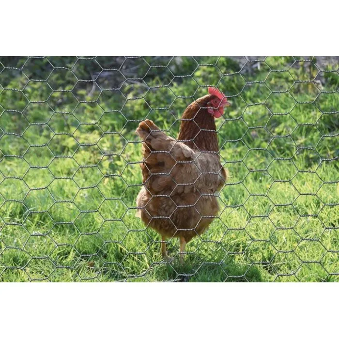 Nature 3306138901019 Malla Hexagonal Galvanizada Natural, 13 mm, Gris, 0.5m x 10m