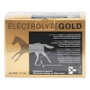 Equinvest Electrolyte Gold 30 Sobres de 50 g