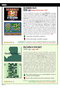 Enciclopedia Homebrew 02