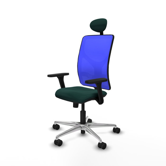PIQUERAS Y CRESPO Silla de oficina Motilla con mecanismo Sincro Verde botella y Azul PIQUERAS Y CRESPO Silla de oficina Motilla con mecanismo Sincro Verde botella y Azul