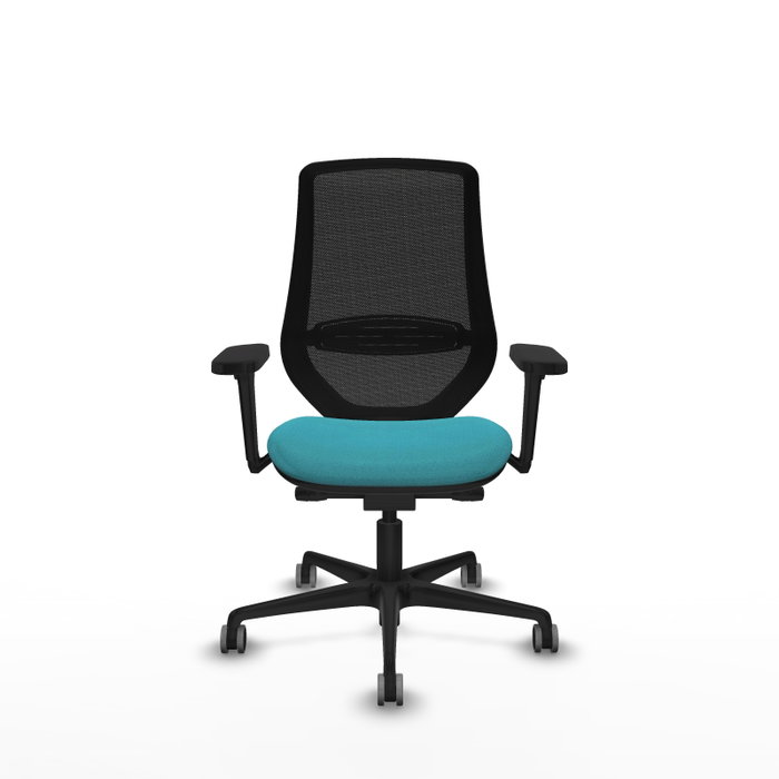 PIQUERAS Y CRESPO Silla de oficina Mardos con mecanismo Sincro/Traslack, Turquesa y Negro PIQUERAS Y CRESPO Silla de oficina Mardos con mecanismo Sincro/Traslack, Turquesa y Negro