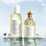 Guerlain Aqua Allegoria Herba Fresca Eau de Toilette 75 ml