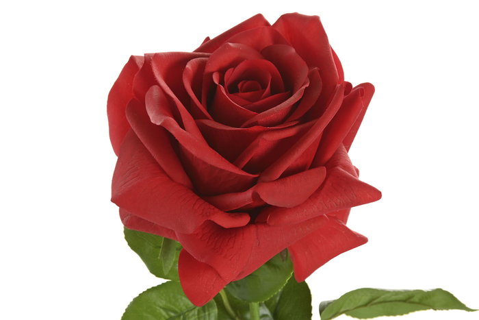 DKD Home Decor Flor Rojo 15 x 66 x 15 cm (12 Unidades) Tacto Real Seda PE