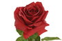 DKD Home Decor Flor Rojo 15 x 66 x 15 cm (12 Unidades) Tacto Real Seda PE