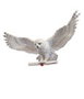 The Noble Collection Escultura Hedwig Harry Potter 46 cm