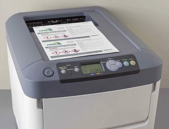 Avery Etiquetas Adhesivas Polietileno Blanco Permanente Laser Fotocopiadora 210x297 mm Blister 10 Unidades