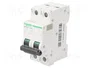 SCHNEIDER ELECTRIC ACTI9 MCB Interruptor magnetotérmico C60H-DC 32A 2 polos