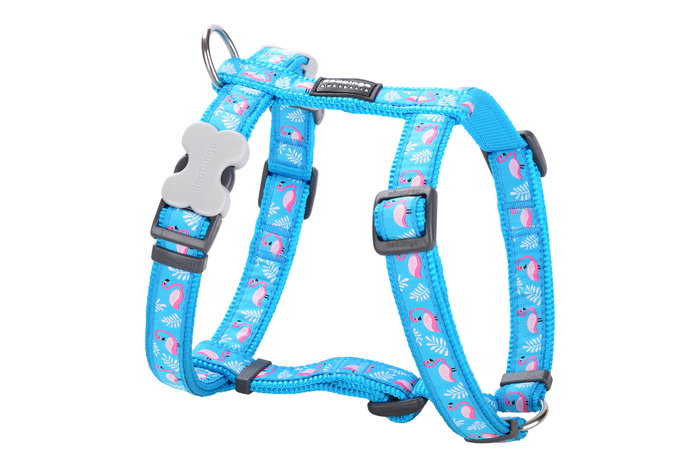Red Dingo RD Style Flamingo Turquoise 12 mm Collar para Perro Cuello 25-39 cm Red Dingo RD Style Flamingo Turquoise 12 mm Collar para Perro Cuello 25-39 cm