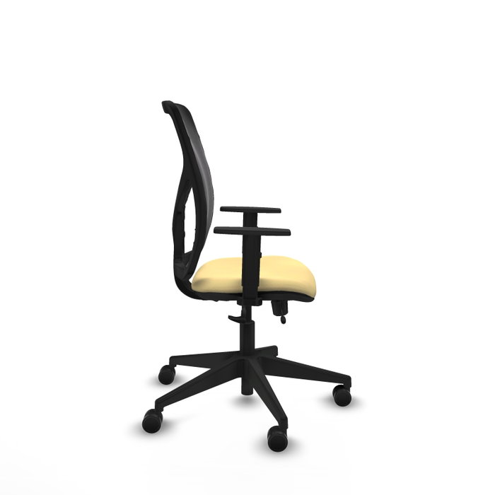 PIQUERAS Y CRESPO Silla de oficina Motilla con mecanismo Sincro/Traslack Crema y Negro PIQUERAS Y CRESPO Silla de oficina Motilla con mecanismo Sincro/Traslack Crema y Negro