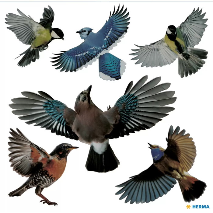 HERMA Pegatina decorativa de aves multicolores 30x30cm HERMA Pegatina decorativa de aves multicolores 30x30cm