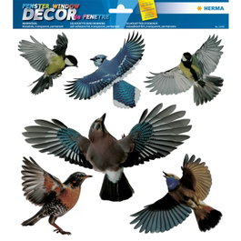 HERMA Pegatina decorativa de aves multicolores 30x30cm