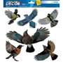 HERMA Pegatina decorativa de aves multicolores 30x30cm