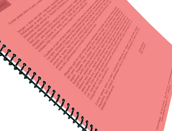 Liderpapel Tapas Polipropileno A4 0.5 mm Rojo Translucido Paquete 100 Unidades