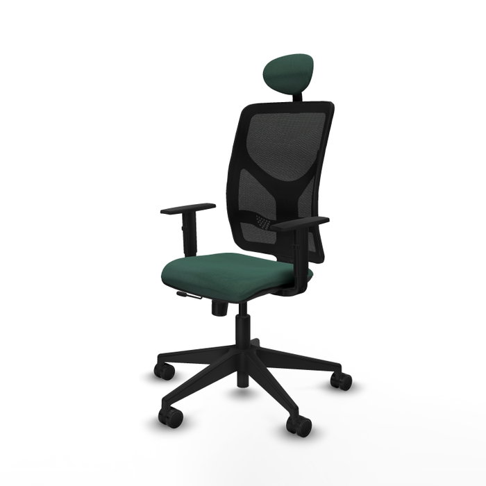 PIQUERAS Y CRESPO Silla de oficina Motilla con mecanismo Sincro/Traslack Verde botella PIQUERAS Y CRESPO Silla de oficina Motilla con mecanismo Sincro/Traslack Verde botella