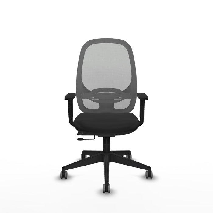 PIQUERAS Y CRESPO Silla de oficina Cilanco con mecanismo Sincro/Traslack, Negro y Gris PIQUERAS Y CRESPO Silla de oficina Cilanco con mecanismo Sincro/Traslack, Negro y Gris
