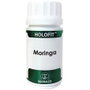 EQUISALUD HOLOFIT MORINGA 50 cápsulas de 650 mg
