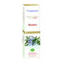 ESENTIAL AROMS Hidrolato de Romero ECOCERT 120ml