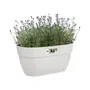 Elho Vibia Campana Easy Hanger Medium Maceta Blanco Seda Balcón Exterior L 24,1 x An 36 x Al 26,5 cm