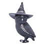 Nemesis Now Cult Cuties Figura Owlocen 13 cm